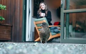 Milford Sound Lodge